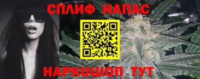 индика Бийск