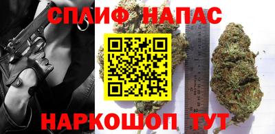 индика Бийск