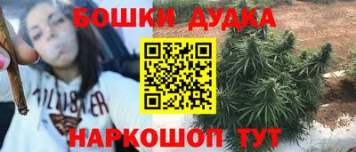индика Бийск