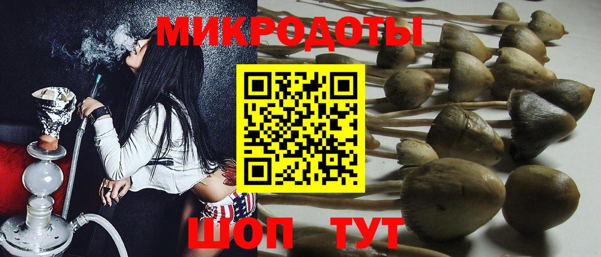 Галлюциногенные грибы Psilocybine cubensis  Дивногорск 