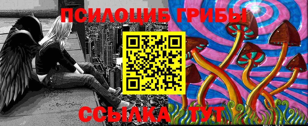 Галлюциногенные грибы Cubensis Дивногорск