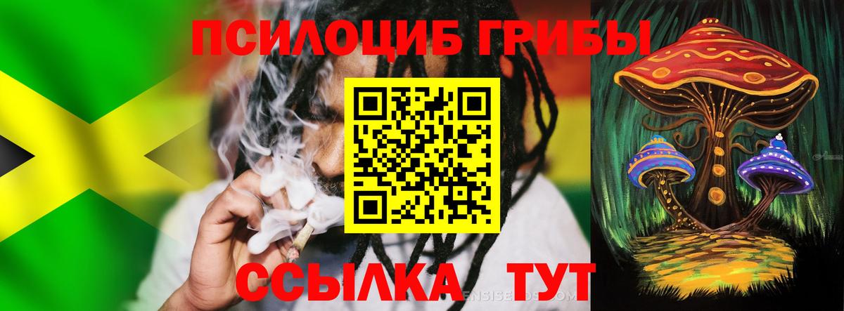 Галлюциногенные грибы Psilocybine cubensis  Вход с VPN  Дивногорск 