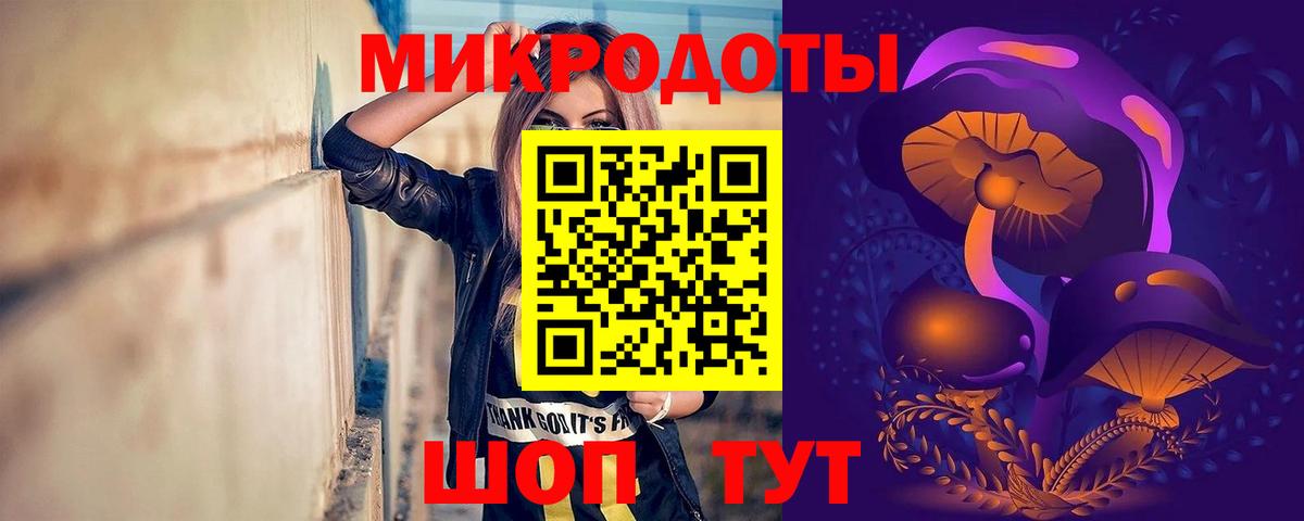 Псилоцибиновые грибы мицелий Дивногорск